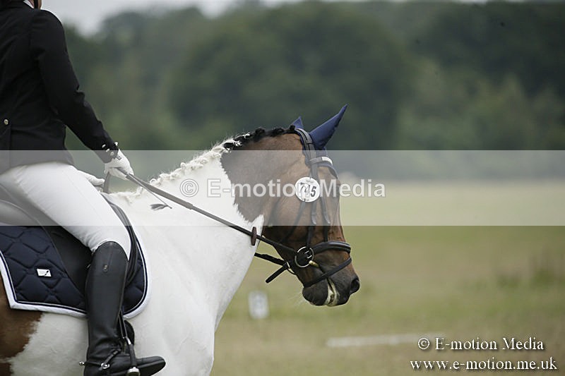 B230619-0649 - Bourne Valley Riding Club Summer Show 23/06/19