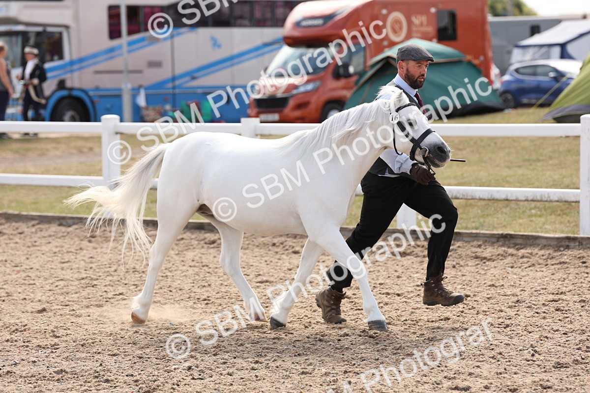 SBM_15044 - Class 209 - IH Veteran Pony