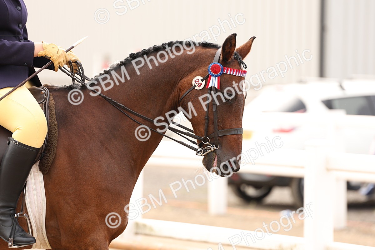 SBM_01614 - Class 52 - Ridden Veteran