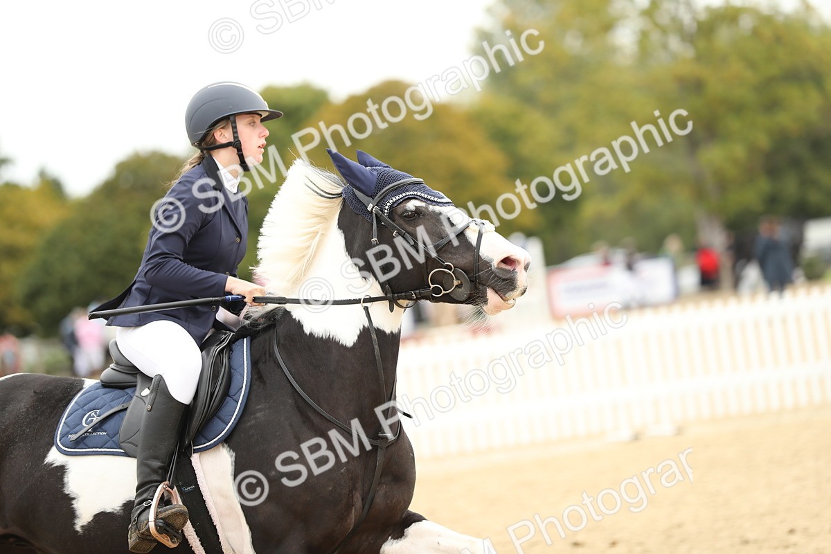 SBM_59605 - J25 - Junior Horse 80cm Championship