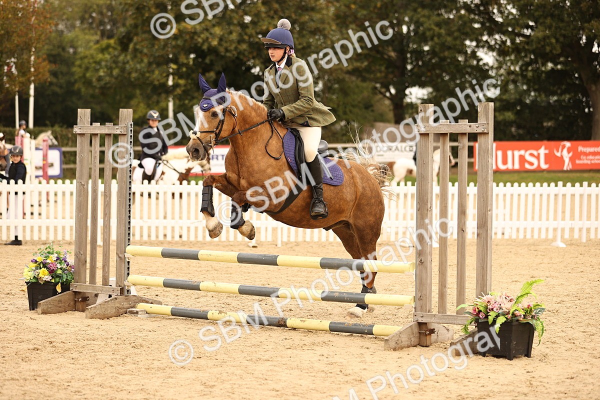SBM_72520 - J14 - Junior Pony 65cm Championship