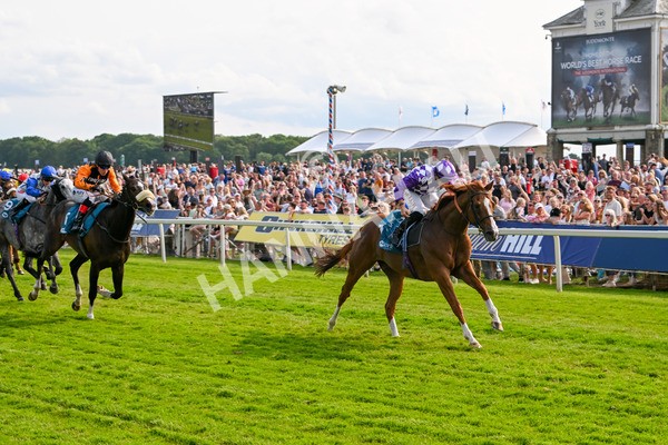 310525-Race 7-Mums Tipple-0344 - Race 7 5.00pm William Hill Best Odds Guaranteed Handicap