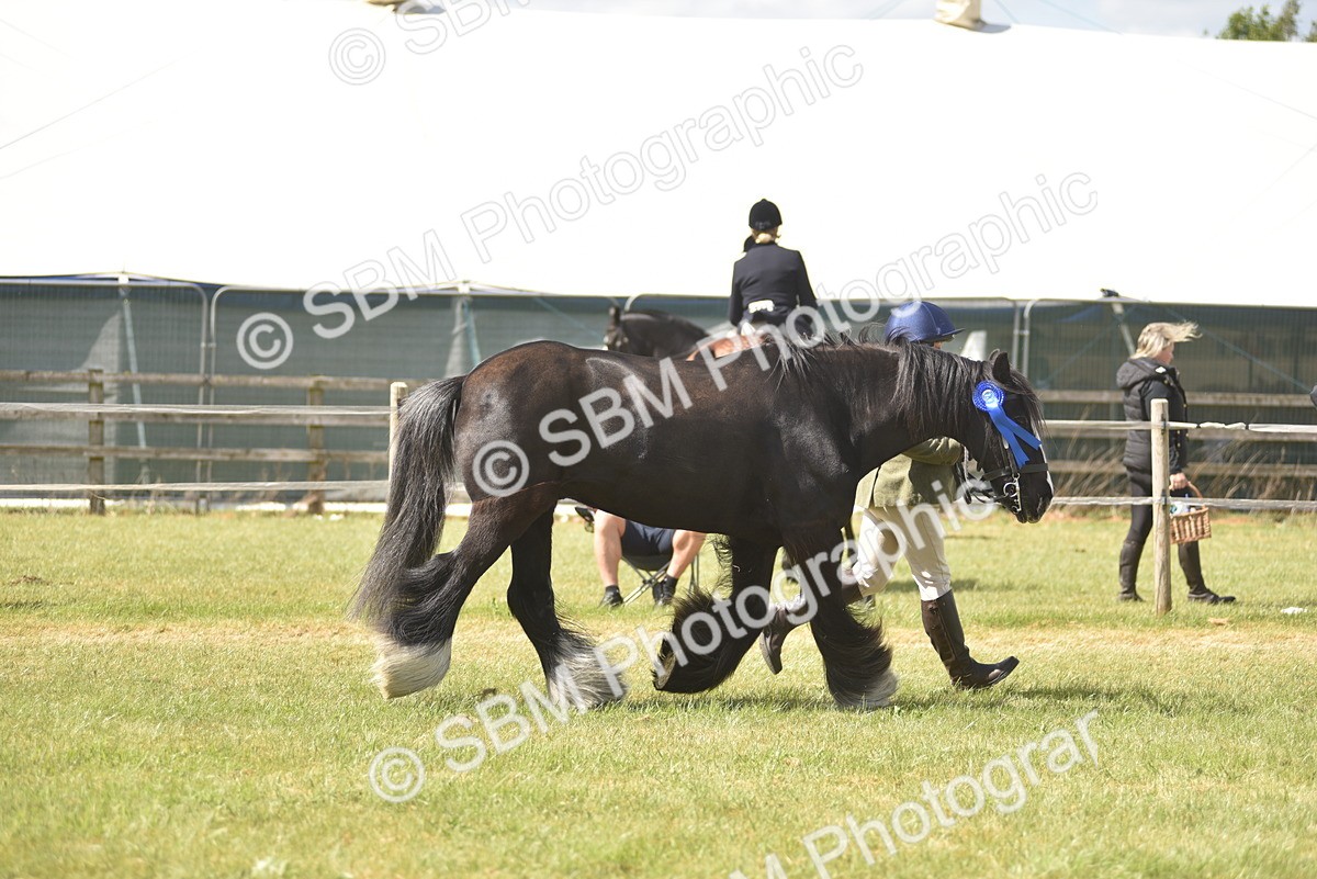 SBM_16118 - Class 117-122 - SSADL RIHS Qualifier