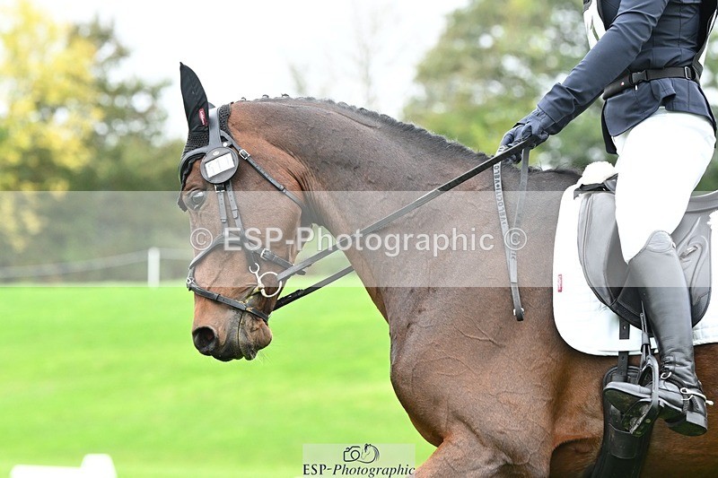 241024-120954-03321 - 511-Rosie.Doe-LOUIS