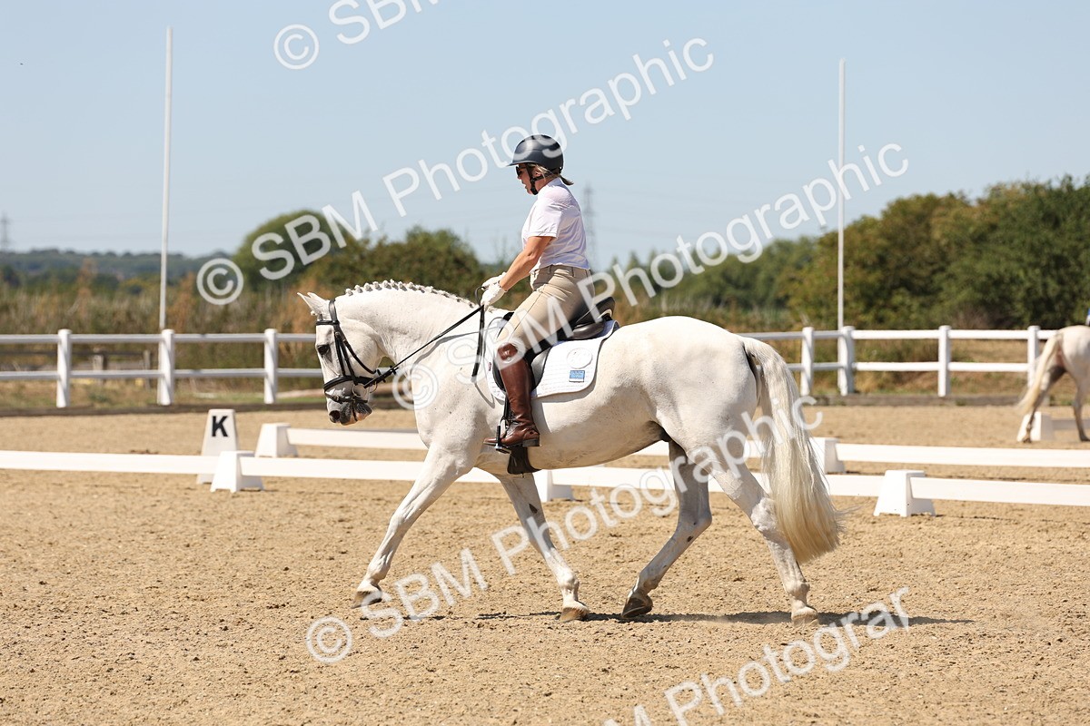 SBM_002976 - Elementary 4