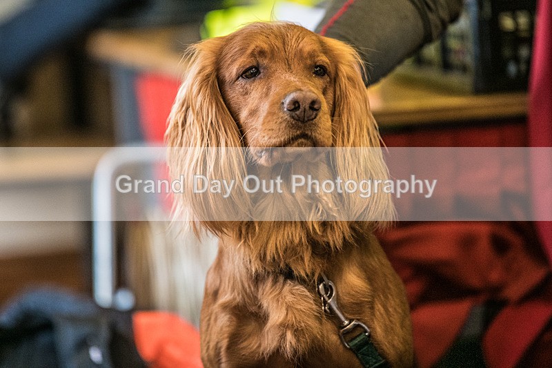 Stybarrow Dodd-12 - Kong Running Stybarrow Dodd Fell Race Saturday 29th November 2025