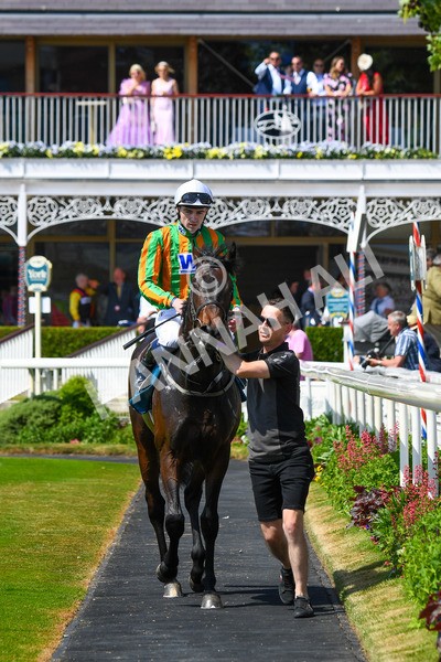 270523-Race 2-Native American-0334 - Race 2 2.10pm Collective Green Energy EBF Restricted Novice Stakes