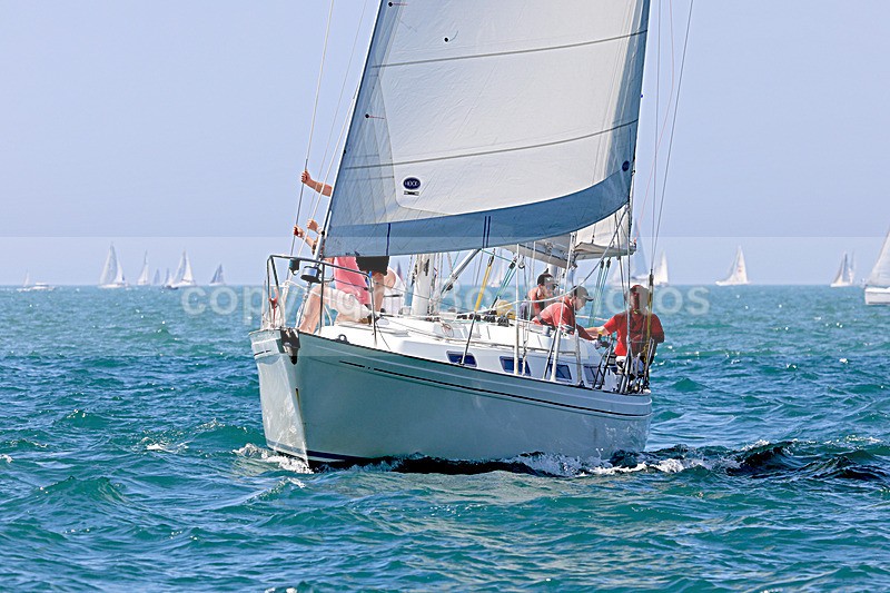 190629 SEA THYME GBR3571L 1Y3A0422_Edit - 170701 SEA THYME GBR3571L
