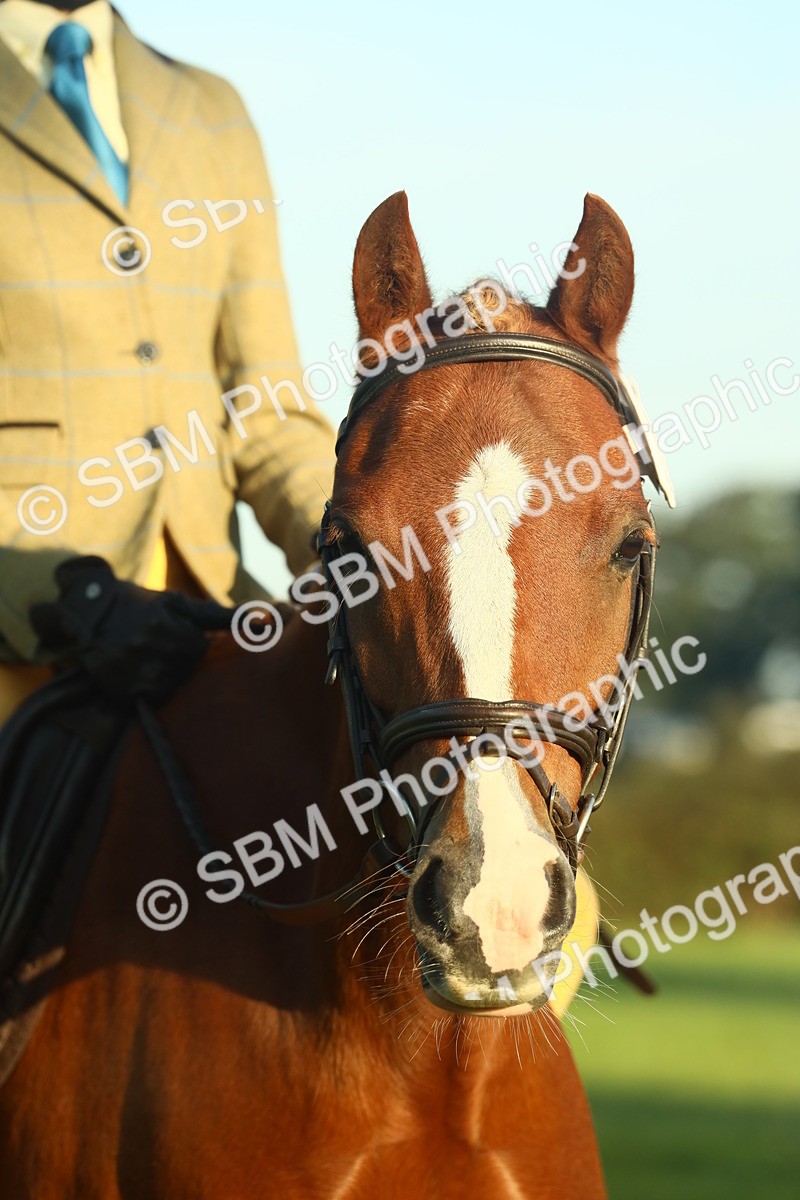 SBM_56638 - S36 - Starters Best Turnout