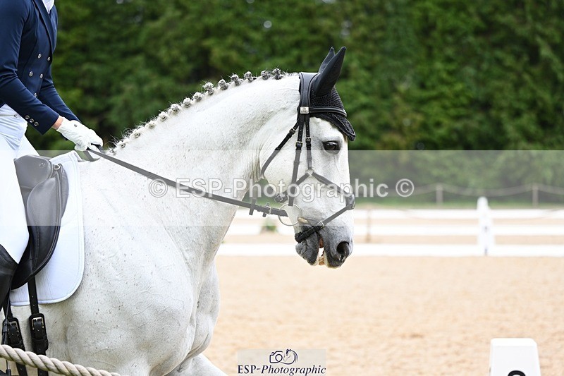 240524-180401-11558 - 163-BRECHFA_BARUCH-Harriet_Beeby_Wynn