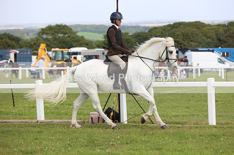 JPP_3840 - Class 23: Working Hunter 80cm