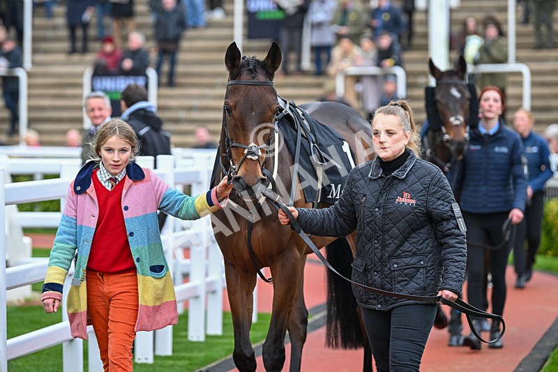 171124-Race 2-Paddock-Guard Your Dreams-2730 - Race 2