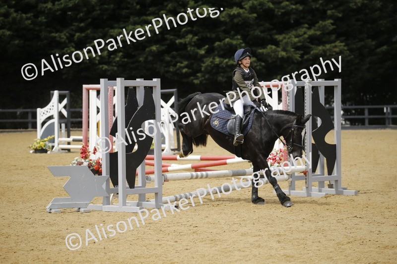 20250622-4698 - 50cm