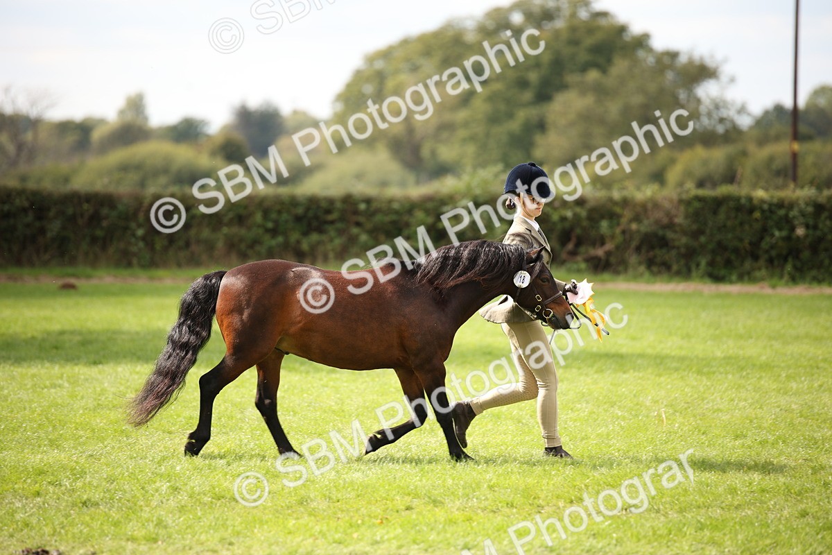 SBM_44533 - S24 - Young Veteran in hand