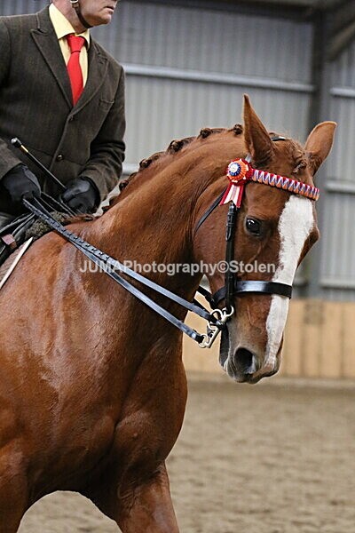 SIAL3049 - Sunday 14th Ridden