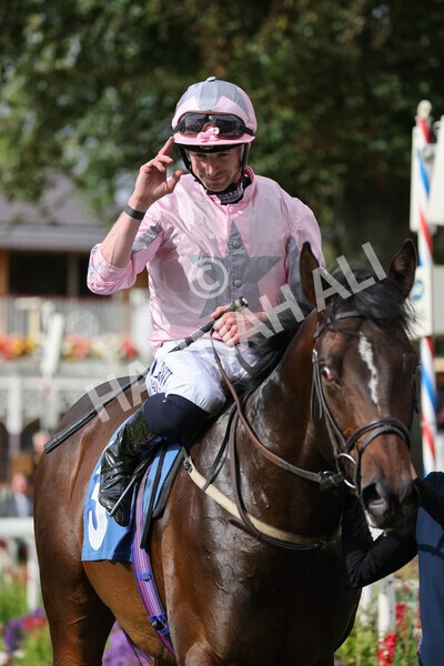 yr24092021r4-41 - Race 4 3.15pm William Hill Play Responsibly British EBF Restricted Novice Stakes