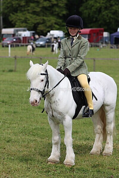 IMG_2637 - Working Hunter