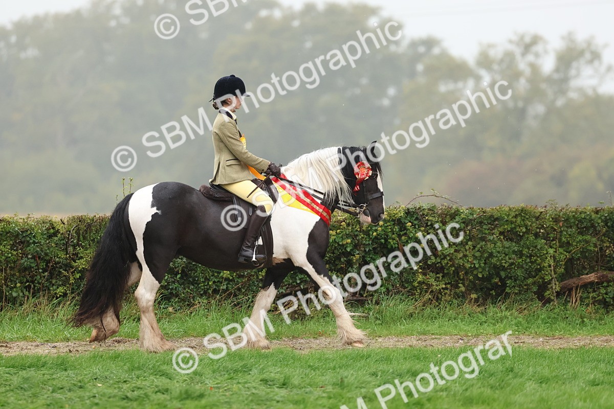 SBM_73173 - Super Supreme Championship(Sun)