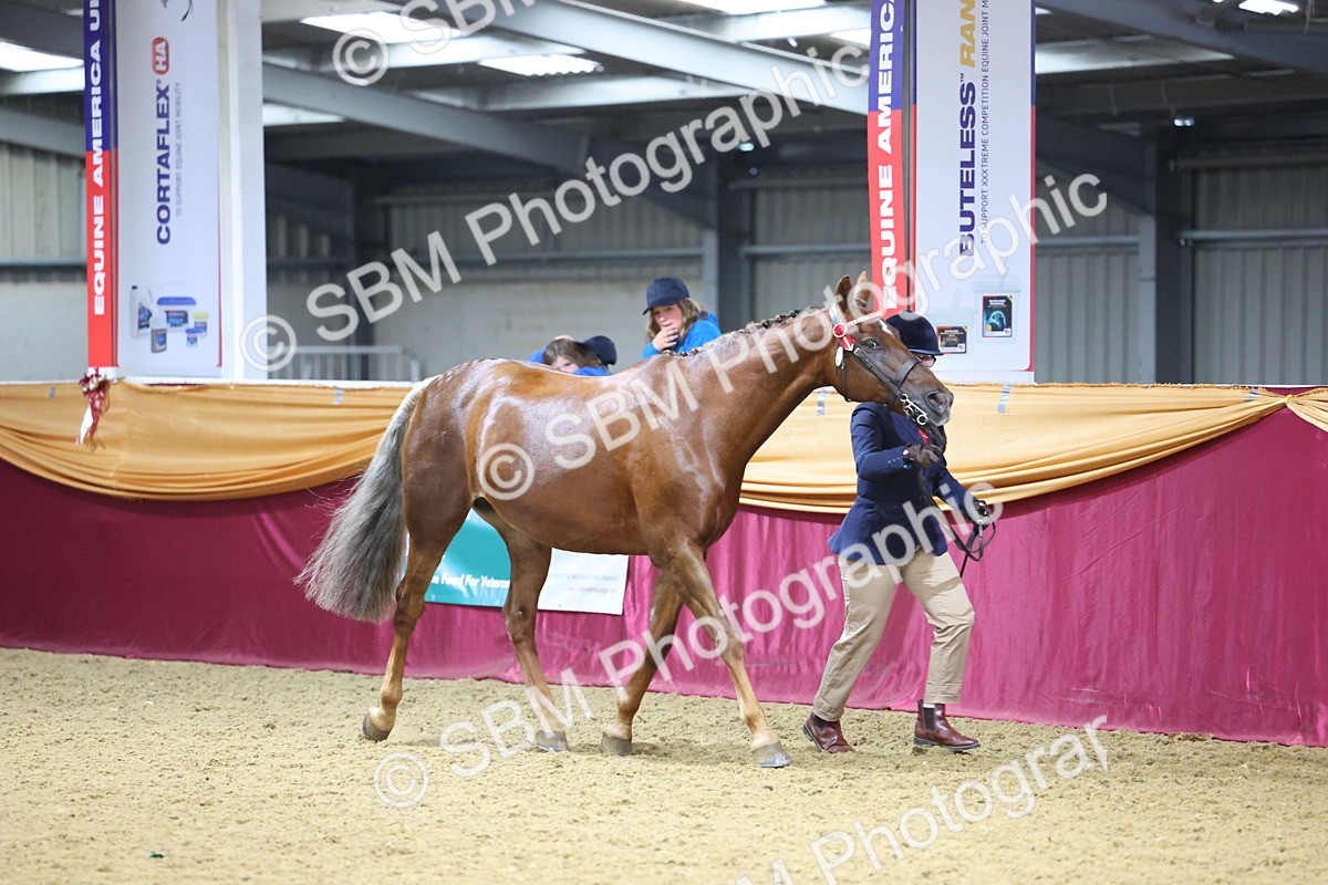 SBM_20826 - Class 902 - Supreme Final IH Veteran