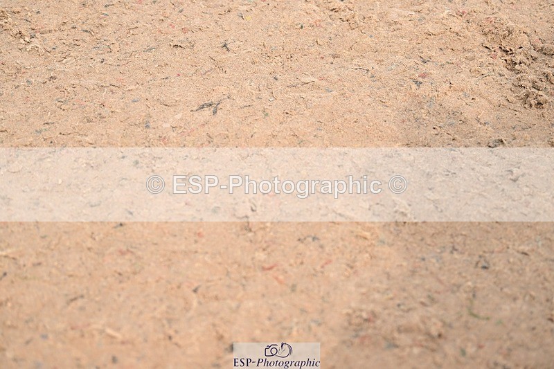 250424-113000-04115 - Cls 17 - 1 Star Silver Tour