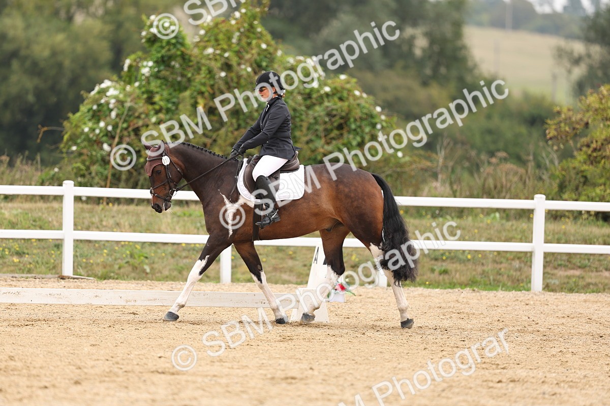 SBM_01694 - Class 9 - Novice 27 Champs
