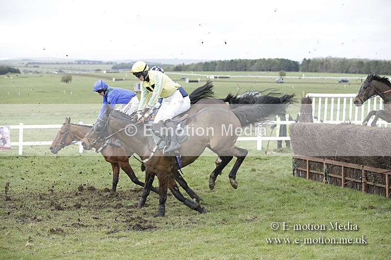 PtP 150320 0682 - New Forest Point-to-Point Larkhill 15/03/20