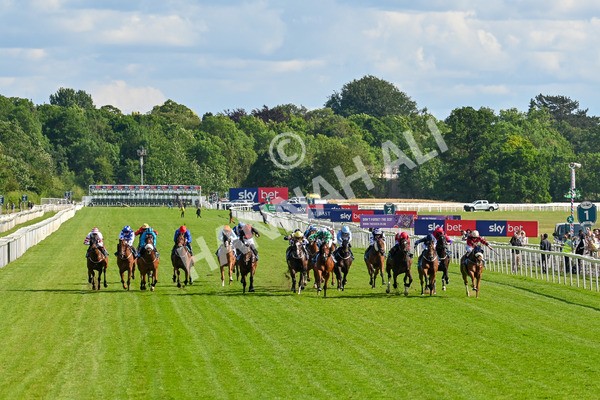 140625-Race 7-Kats Bob-9823 - Race 7 5.20pm Bosun's Restaurant Handicap