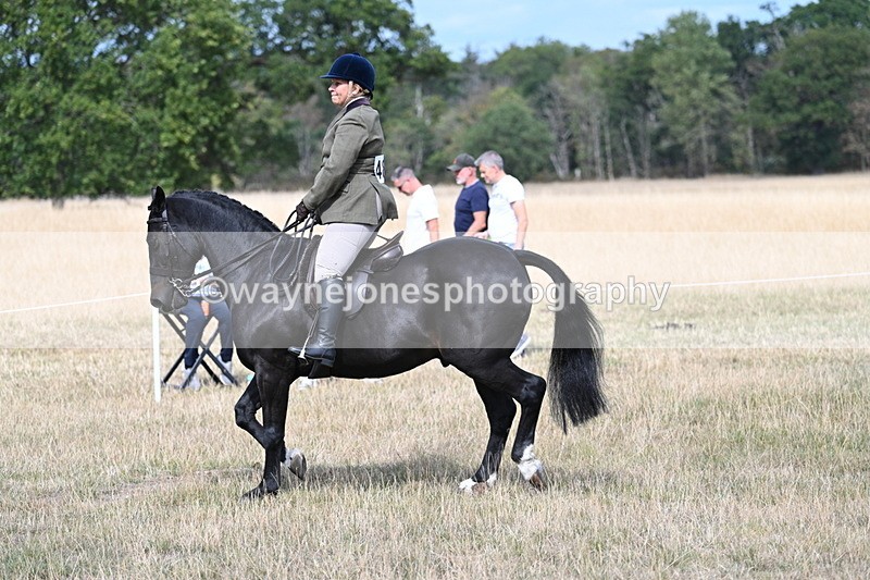 WJ7_5868 - Class 13 Ridden Veterans