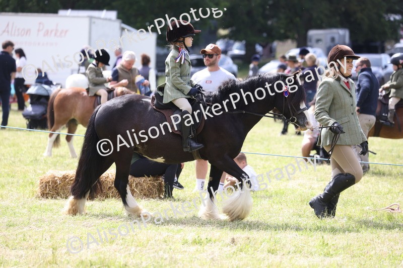 20260614-0810 - Class 20 - Beginners Working Hunter Pony