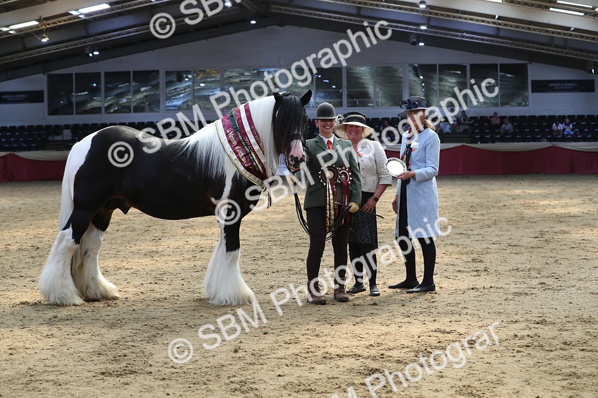 SBM_06578 - Regional IH Champ