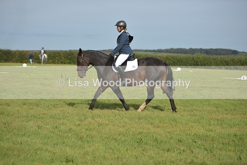 RAY_7782 - Class 2B: Trekenning Open: Dressage