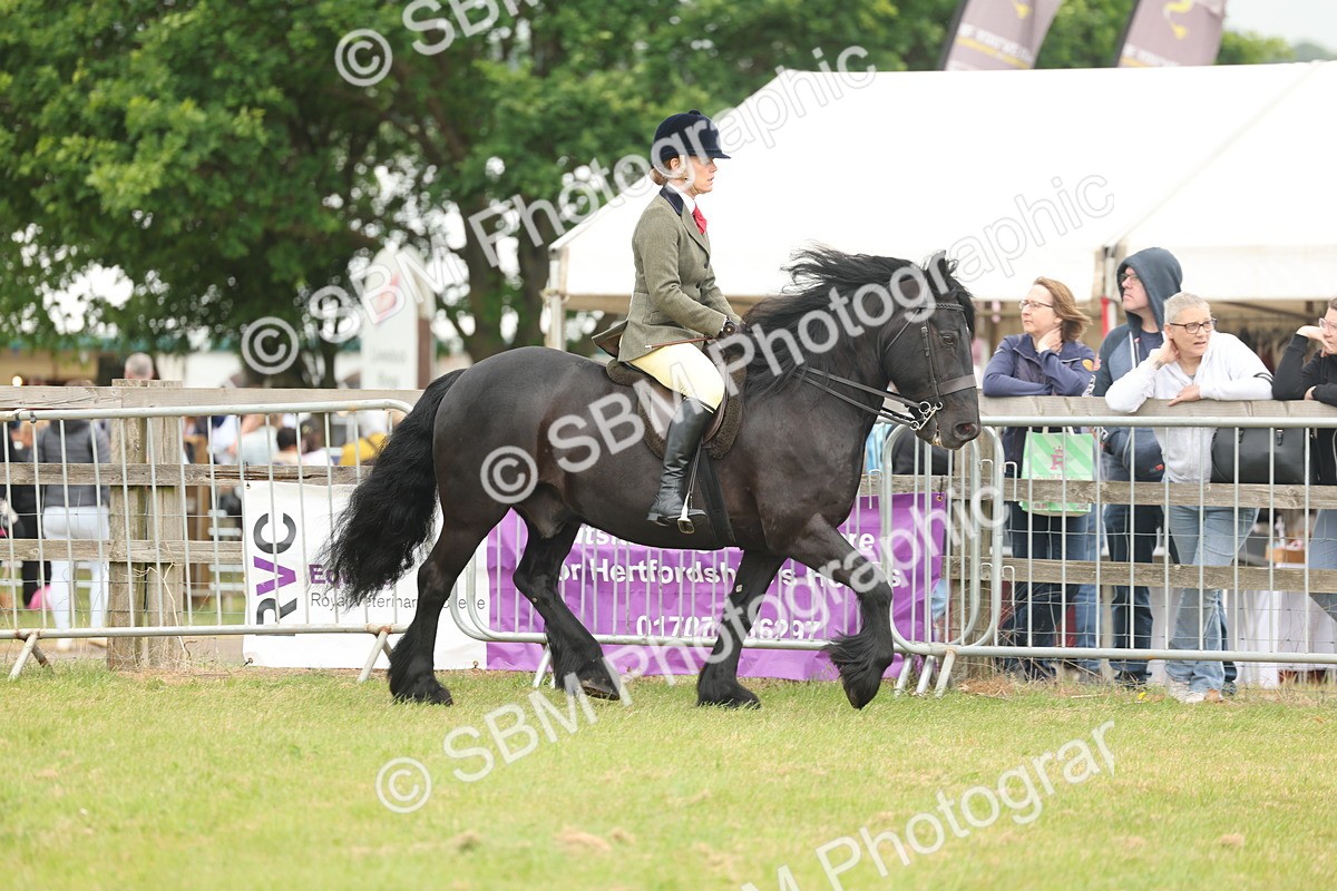 SBM_08939 - Class 78-80 - Ridden M&M Non Welsh Ponies
