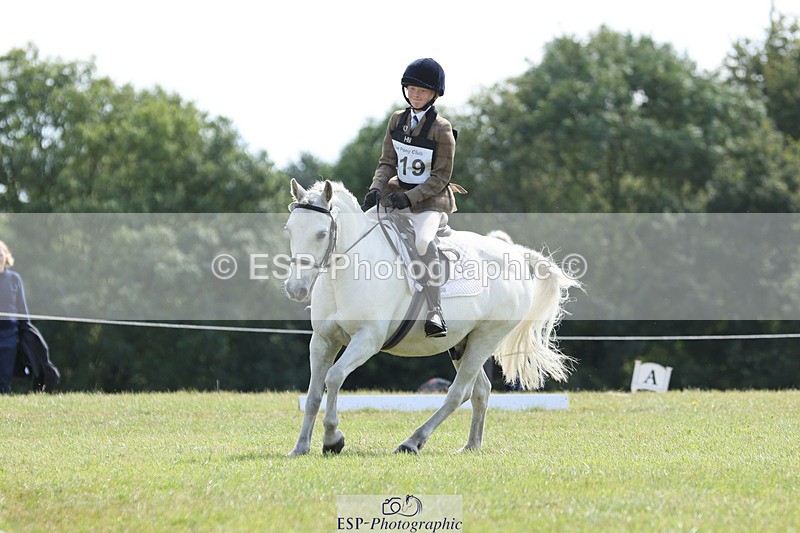 240824X-115955-27016 - D80 Section G and H 11.00 to 12.00