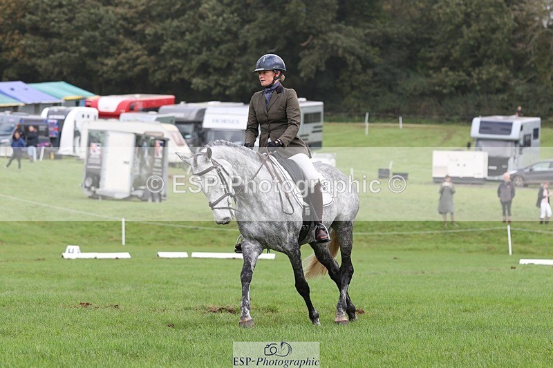 231019-152925-04893 - 553-HARLEQUIN.RABBIT-Althea.Bleekman-DR