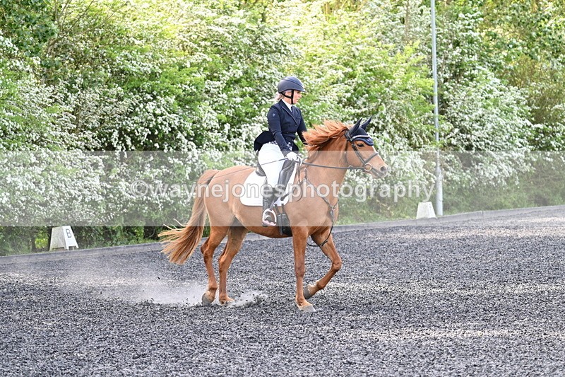 WJ7_7913 - Time 10:11 to 10:27