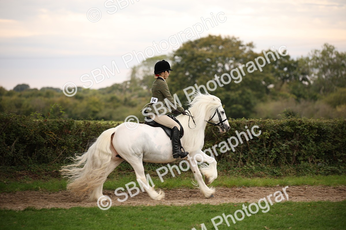 SBM_73453 - S68 - Traditional Cob Ridden
