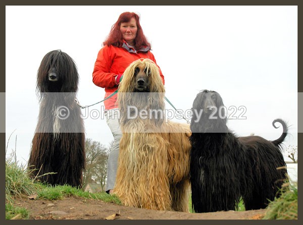 Long Haired and Walking - Walking the Dog