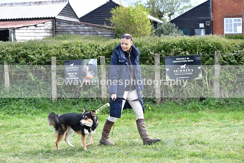 WJ5_0723 - Best in Show Championship