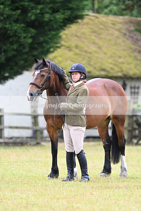 WJ7_6321 - Class 4a Prettiest Mare over 14hh