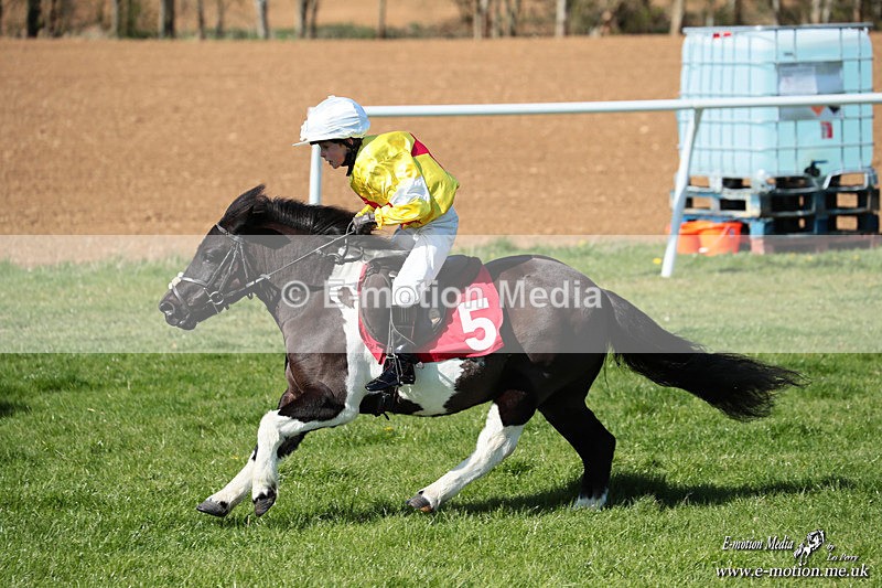Shet 060426 200 - Shetland Pony Racing Paxford Races Easter Mon 06/04/26