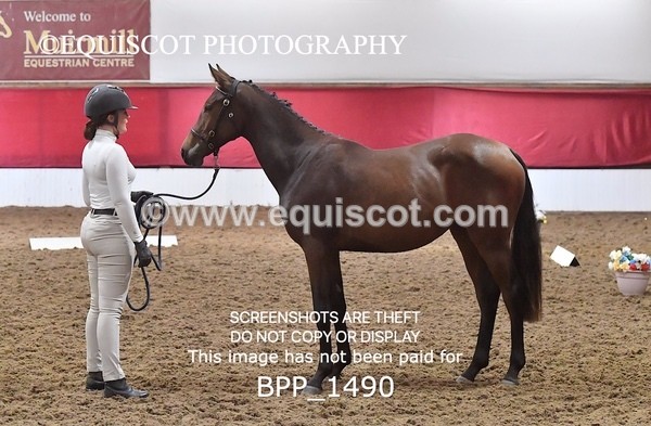 BPP_1490 - MORNING 9AM - 12PM