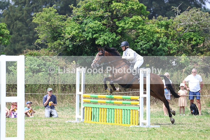 3E7A2863 - Class 7: Senior British Novice/90cm open
