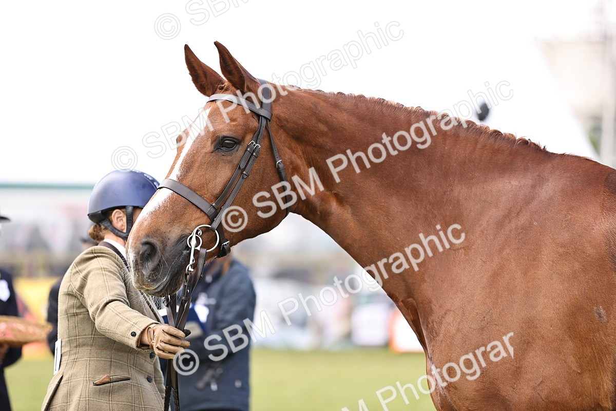 SBM_14750_Class 88 - 89 - LIHS BSHA Rising Star of Ridden Hunter Type - Vicky