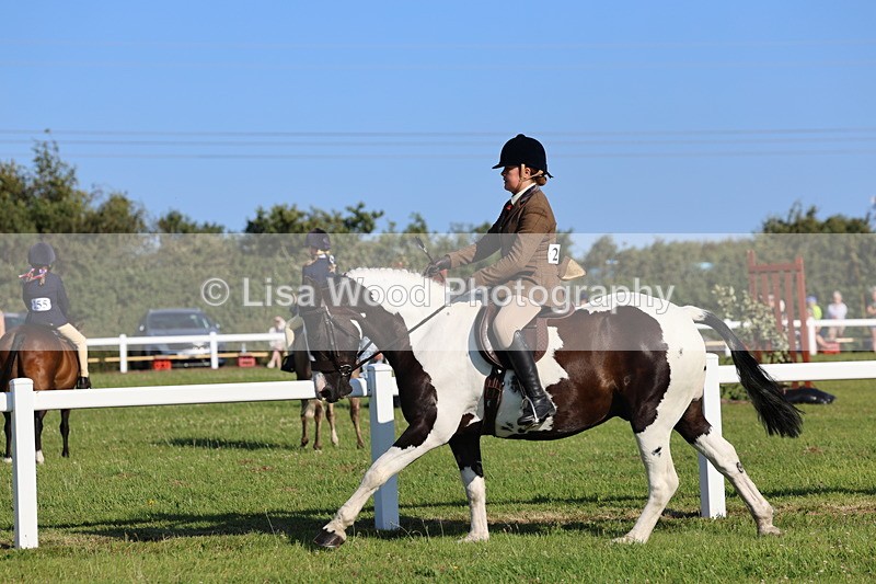 IMG_1383 - Class 28: Ridden Plaited Coloured Pony