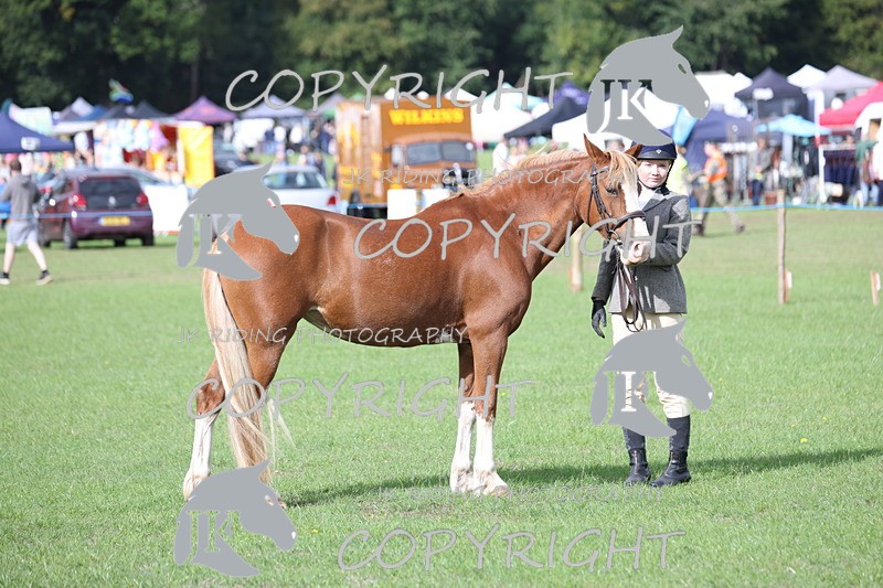 APP_2582 - Class 9 Veterans in hand