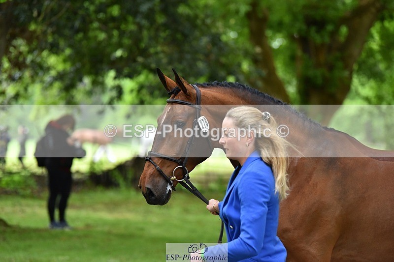 240522-172310-01567 - 278-DSH_MR_D-Caroline_Harris