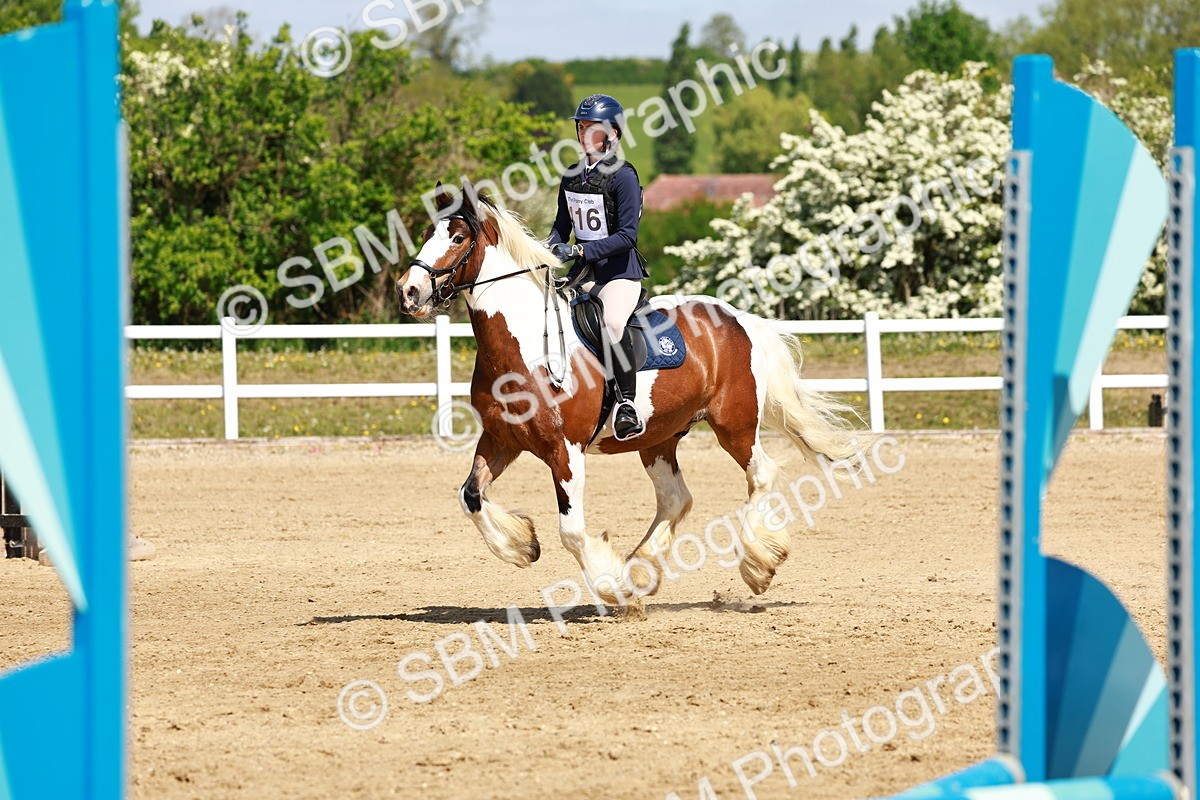 SBM_007805 - Class 3 - 60cm