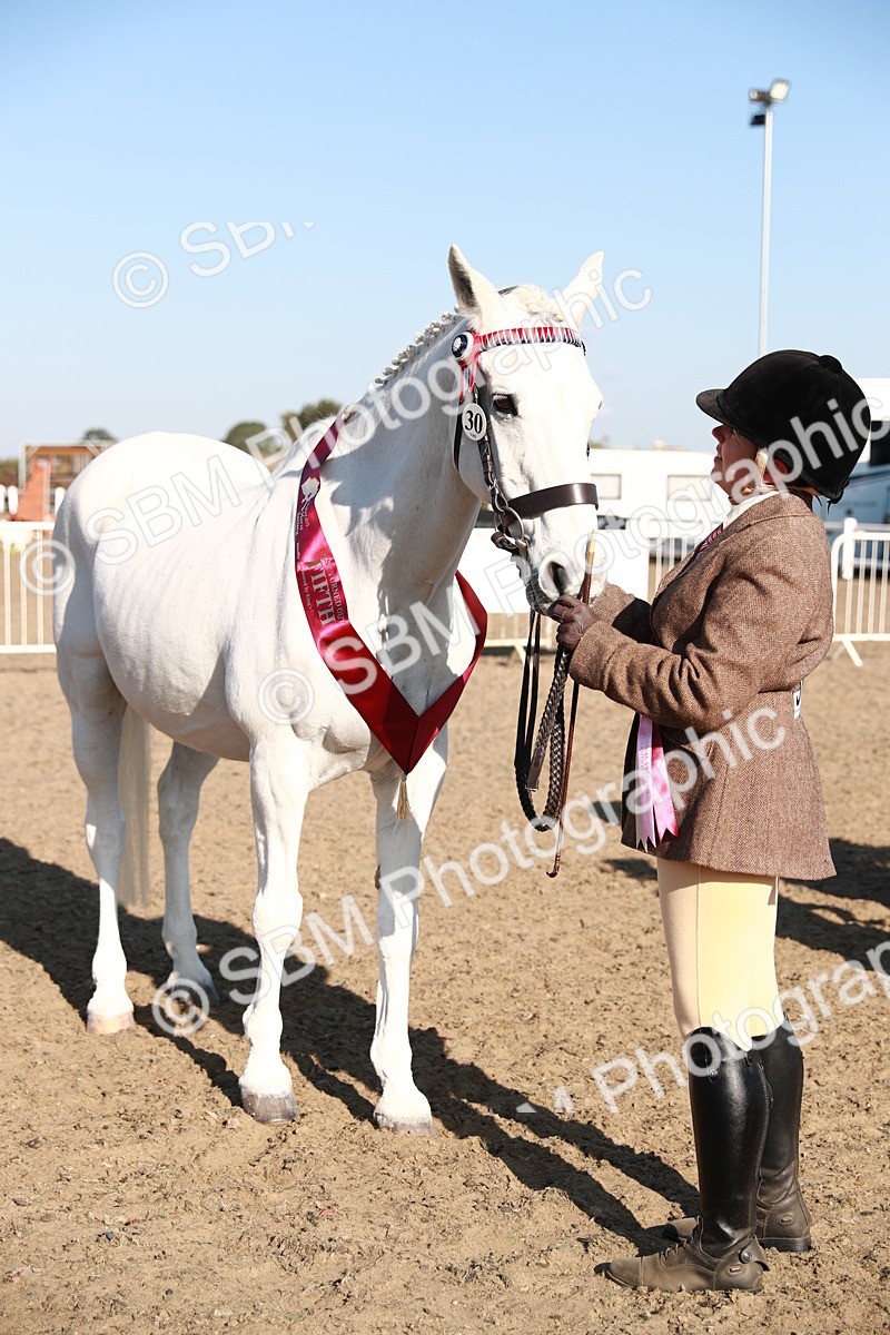 SBM_00137 - Class 40 Best Turned Out IH