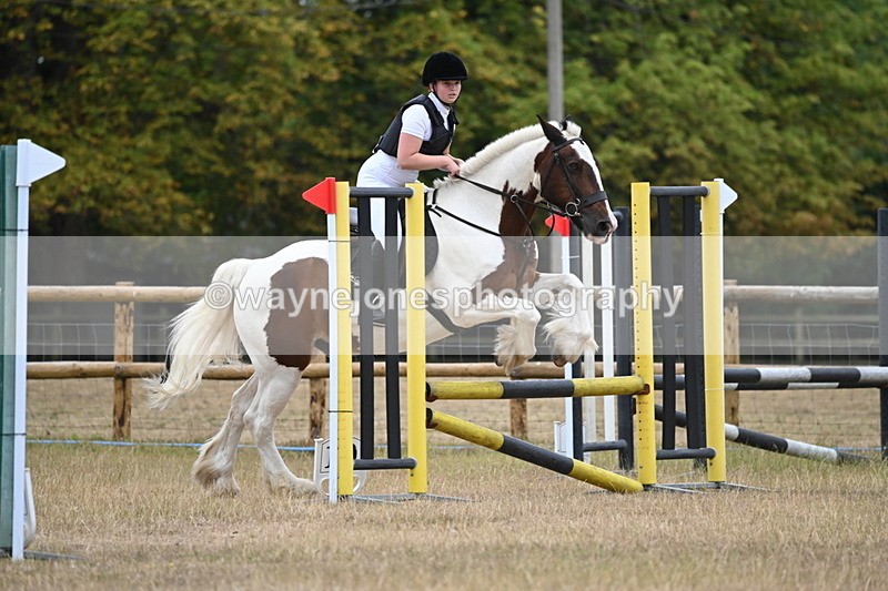 WJ6_0716 - Class 14 Intermediate Jumping 75cm