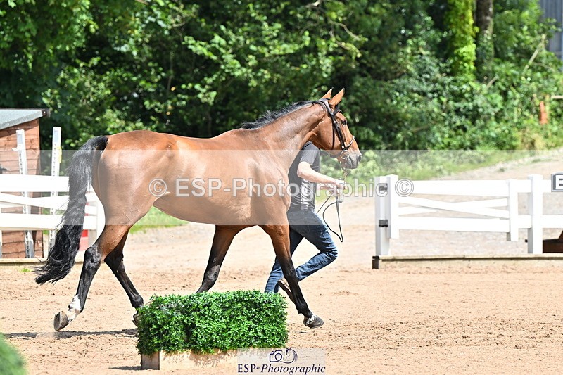 240718A-105251-01247 - Trot Up 12pm to 1pm